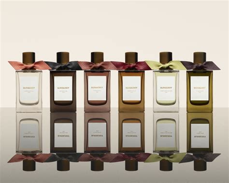 burberry love collection|Burberry signatures for men.